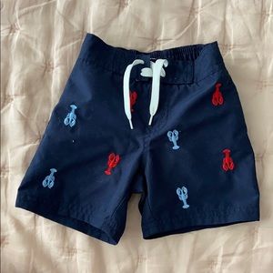 Boys navy lobster embroidered swim suit